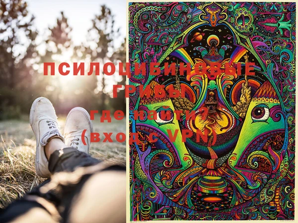 дмт Гусиноозёрск