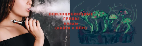 гашик Горняк