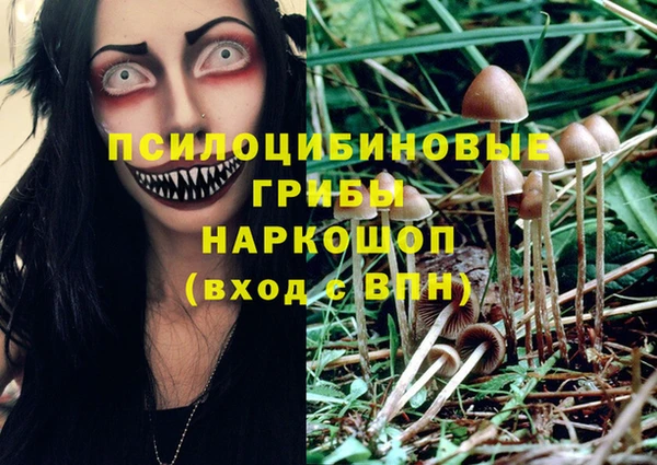 кокаин колумбия Гусев