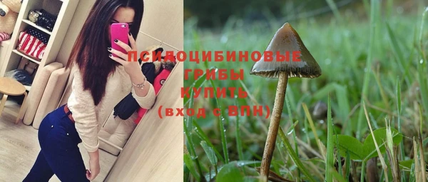 спайс Гусь-Хрустальный