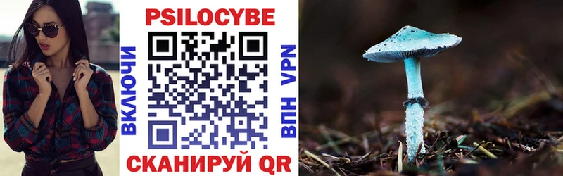 Купить где  Зеленоградск  Галлюциногенные грибы Psilocybine cubensis 